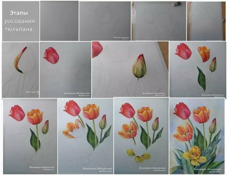 Рисунки для срисовки красками