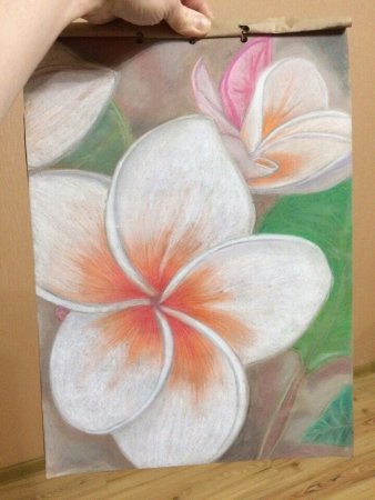 Рисунки пастелью для начинающих