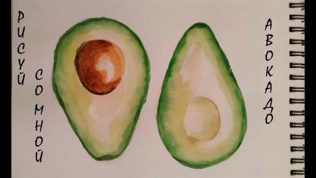Авокадо акварелью мастер класс