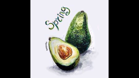 Скетчинг авокадо маркерами
