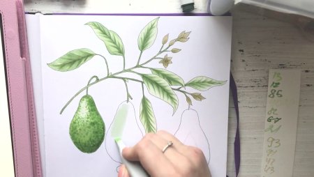 Авокадо спиртовыми маркерами