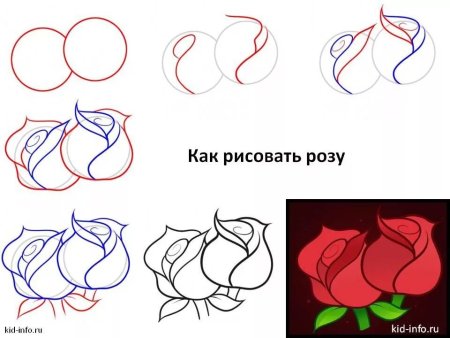 Схема рисования кошки