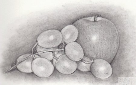 Натюрморт рисунок карандашом