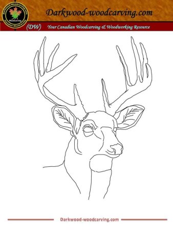 Рисунки для выжигания по дереву для начинающих