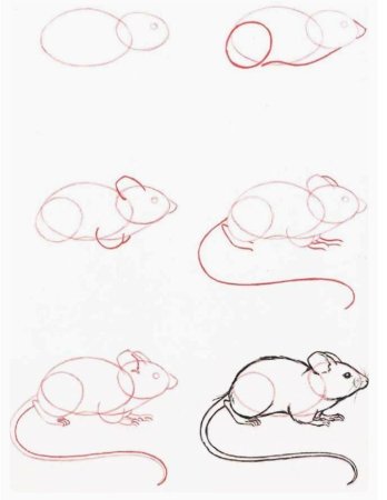 Как нарисовать кота поэтапно