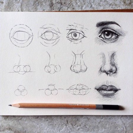 Рисунок человека поэтапно