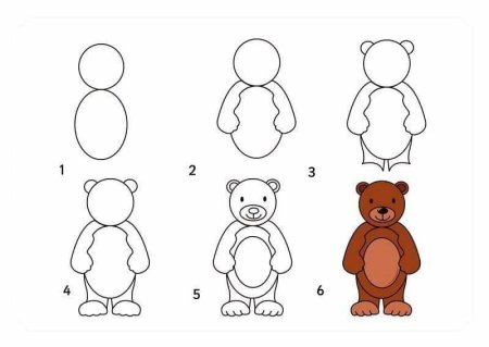 Рисуем медведя поэтапно для детей