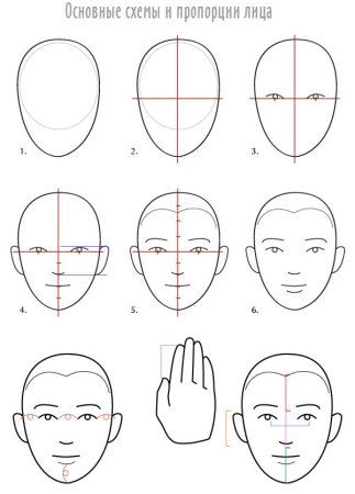 Портрет пропорции лица человека поэтапно