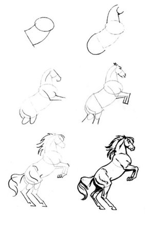 Поэтапный рисунок коня