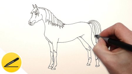 Рисунки лошадей для срисовки