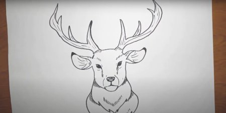 Рисунок оленя для срисовки