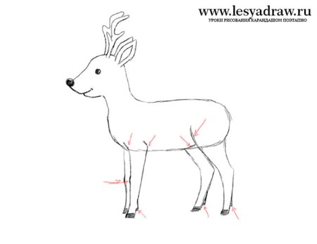 Этапы рисования оленя для малышей