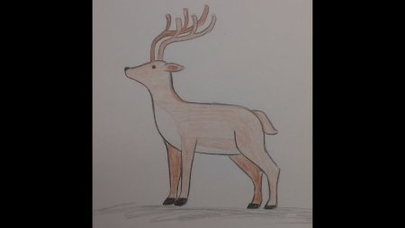 Легкий олень