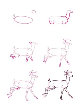 Поэтапный рисунок оленя