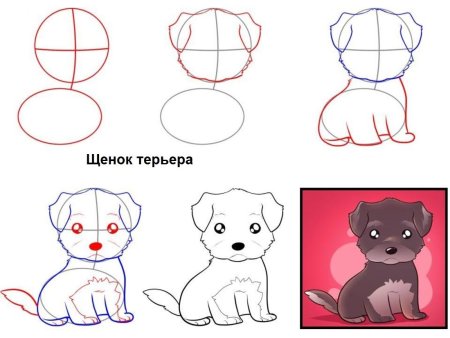 Щенок поэтапно карандашом
