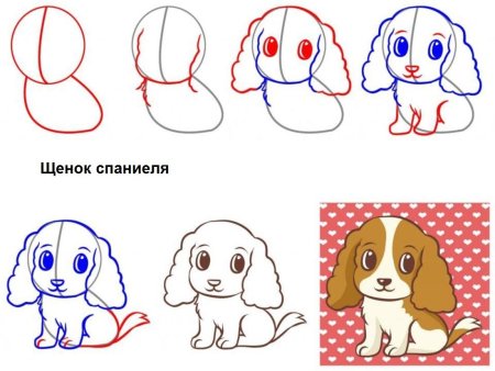Поэтапное рисование щенка