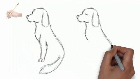 Как нарисовать собаку