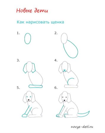 Пошагово рисование собаки для детей