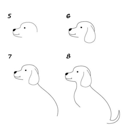 Поэтапный рисунок собаки для детей