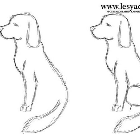 Рисунок собаки для срисовки легкие