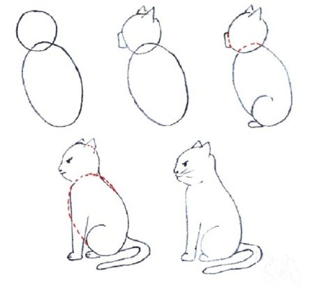 Этапы рисования кошки