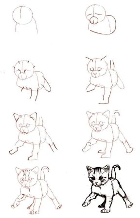 Рисунок кошки поэтапно