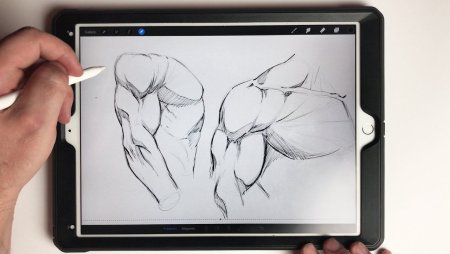 Procreate планшете IPAD