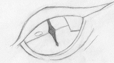 Рисунки карандашом