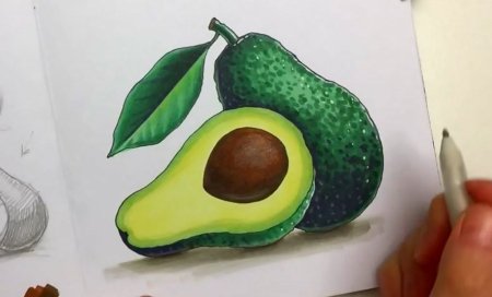 Авокадо маркерами для скетчинга