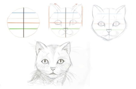 Рисуем кошку поэтапно