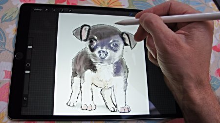 Простые рисунки в Procreate