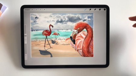 Apple Pencil Procreate