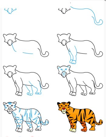 Как нарисовать тигра