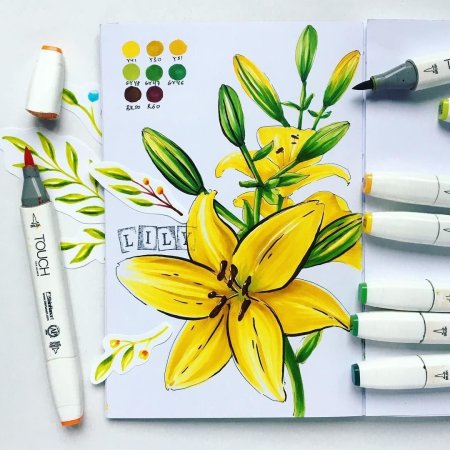 Несложные рисунки для срисовки