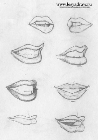 Пошаговое рисование губ