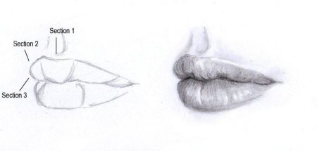Губы боком рисунок