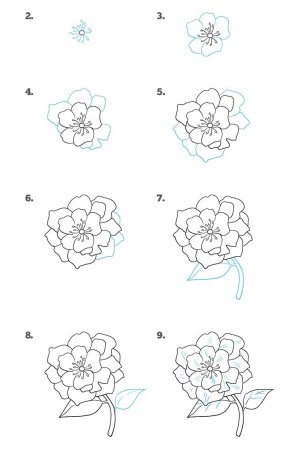 Поэтапное рисование пионов
