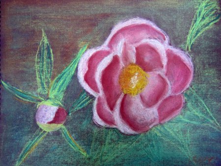 Лёгкие рисунки масляной пастелью