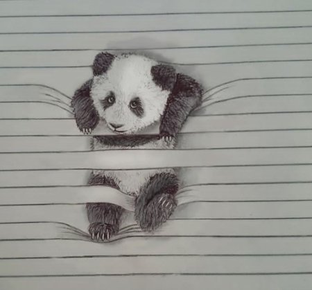 Прикольные рисунки в тетради