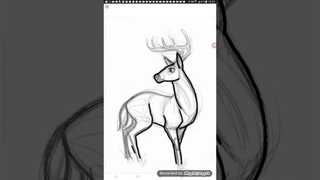 Рисунок для Ибис пейнт легкий