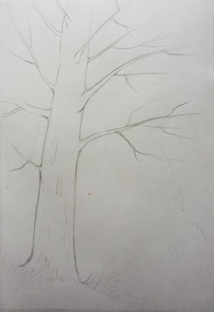 Деревья рисунок карандашом для начинающих