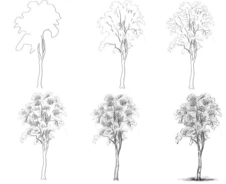 Дерево для рисования