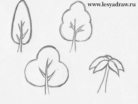 Поэтапное рисование деревьев и кустарников