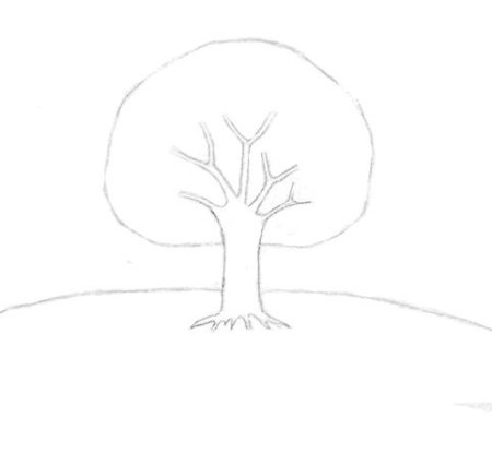 Дерево рисунок легкий