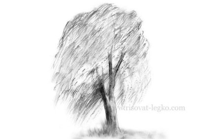 Деревья карандашом для срисовки очень легкие для начинающих