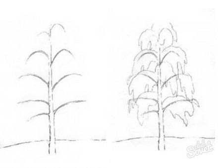 Берёза поэтапное рисование