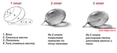 Как рисовать тени карандашом поэтапно