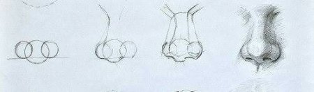 Этапы рисования носа