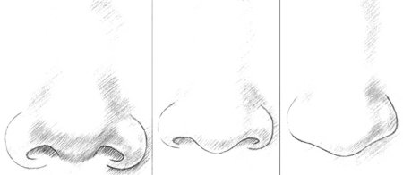 Пошаговое рисование носа
