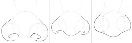 Нос поэтапно для начинающих